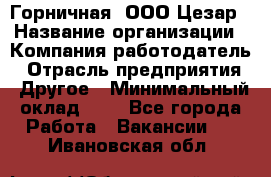 Горничная. ООО Цезар › Название организации ­ Компания-работодатель › Отрасль предприятия ­ Другое › Минимальный оклад ­ 1 - Все города Работа » Вакансии   . Ивановская обл.